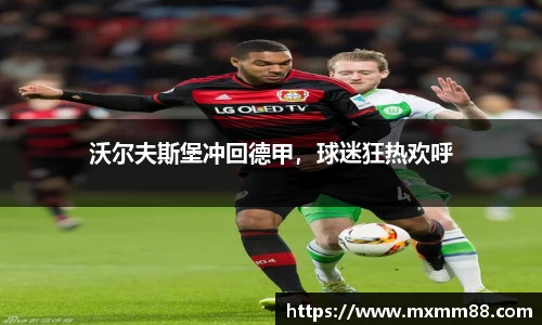 沃尔夫斯堡冲回德甲，球迷狂热欢呼