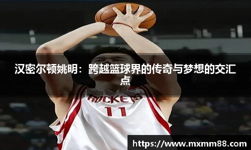 汉密尔顿姚明：跨越篮球界的传奇与梦想的交汇点